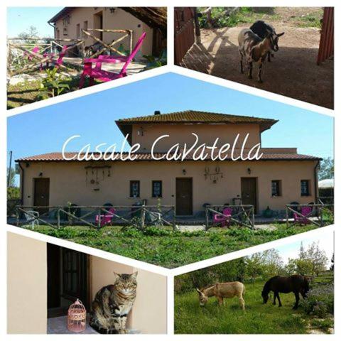 B&B Sermoneta - Casale Cavatella - Bed and Breakfast Sermoneta