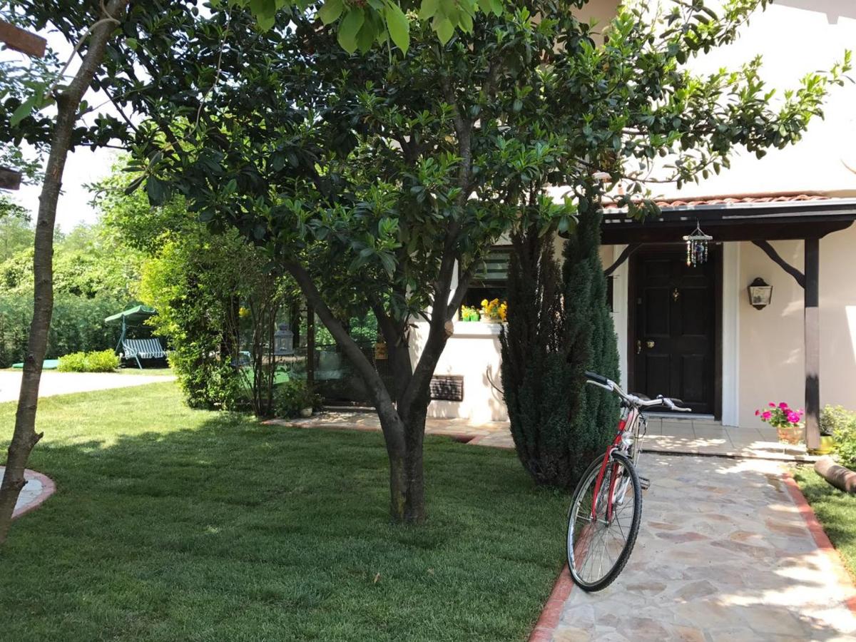 Holiday Sapanca Kırkpınar - Isıtmalı Havuz - Chambres d’hôtes Sapanca