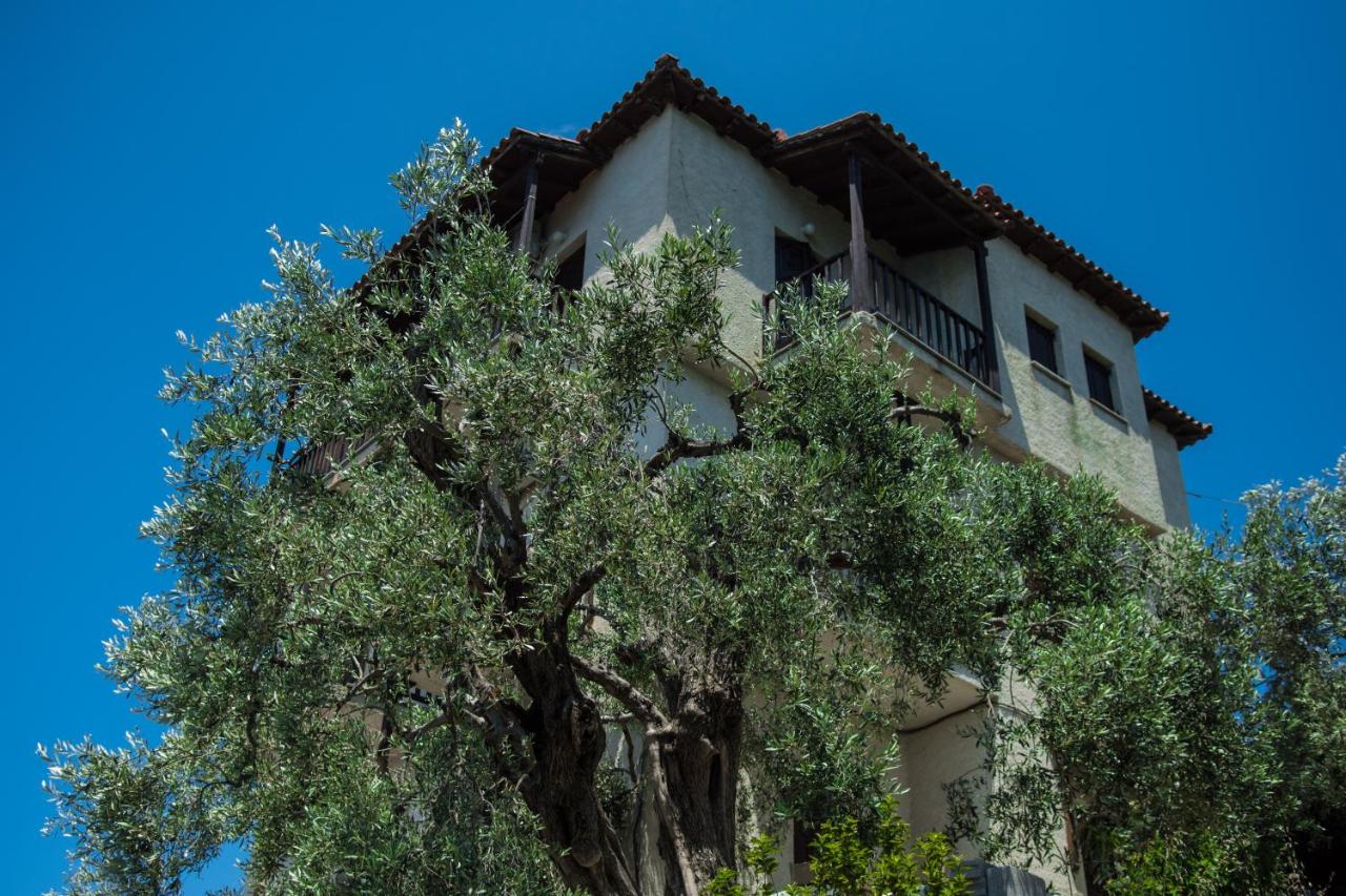 MELIES- Seaside Boutique Apartments - Ferienwohnung Chórto