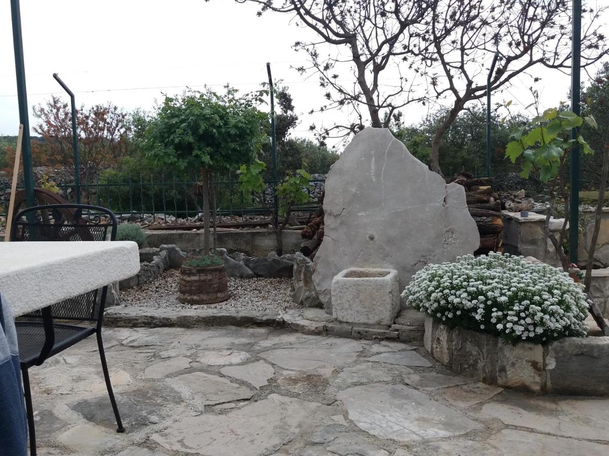 Apartman Tone - Bed and Breakfast