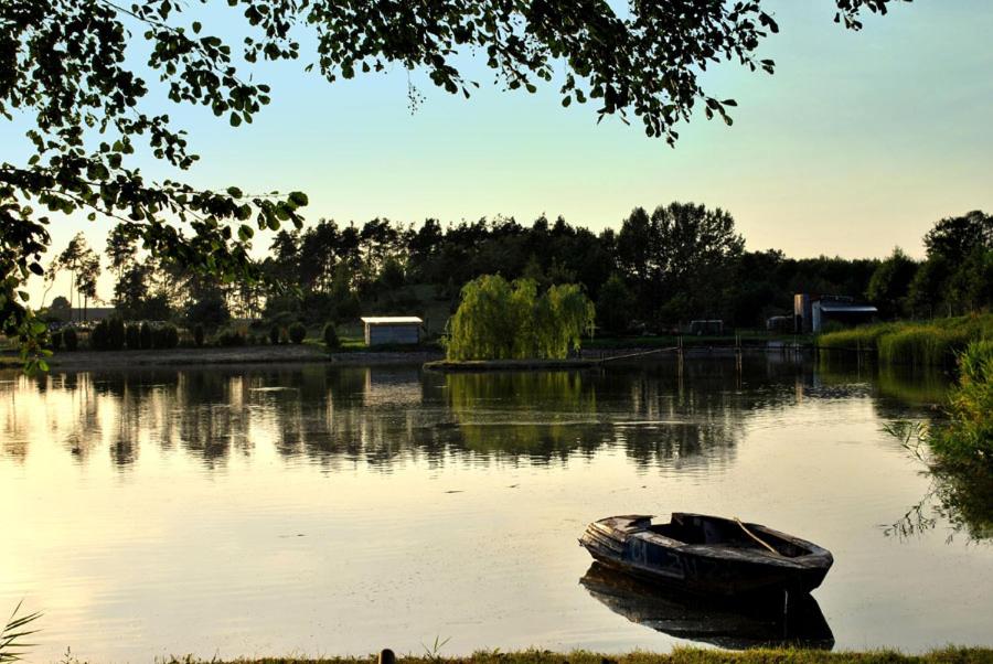 Agrowczasy Nad Stawem - Plus strefa jacuzzi przy domu z jedną sypialnią - Ferienwohnung Gartatowice