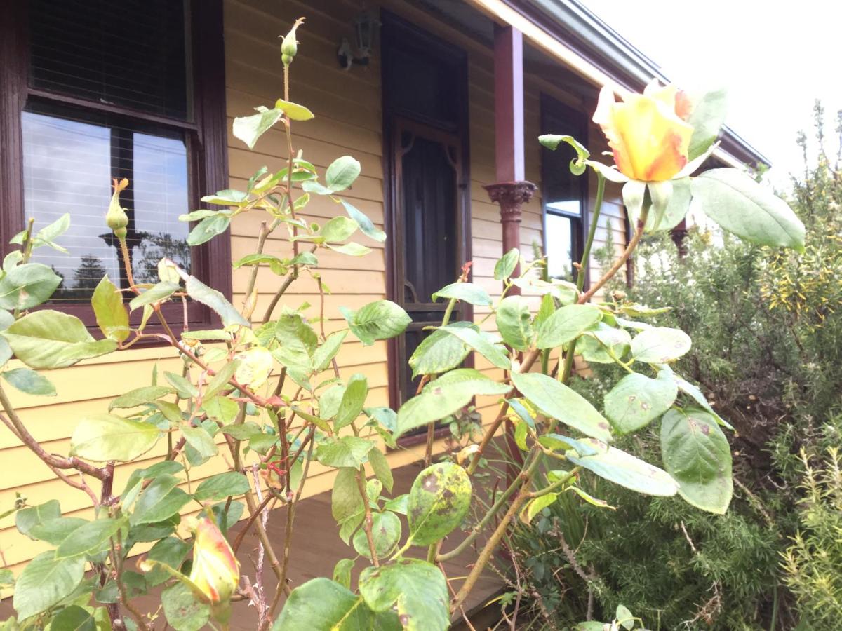 Albion Cottage - B&B
