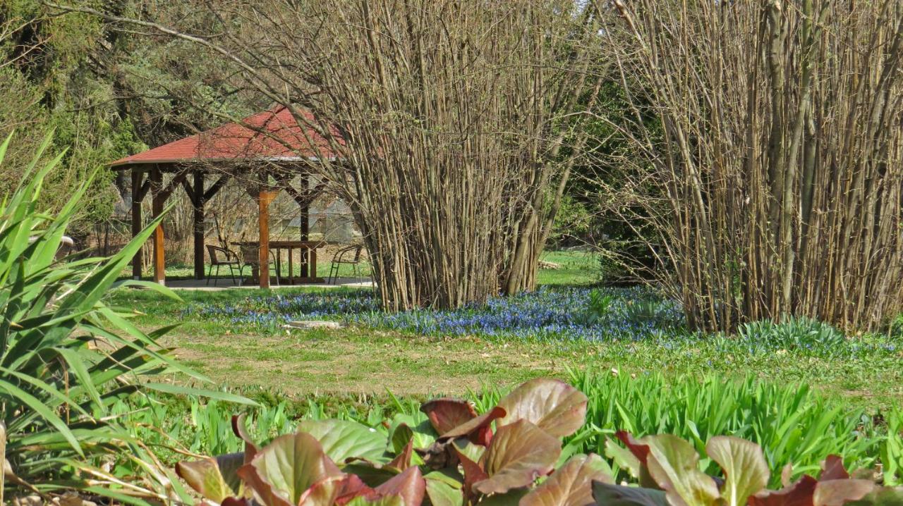 Tarjányi Vendégház - B&B Recsk