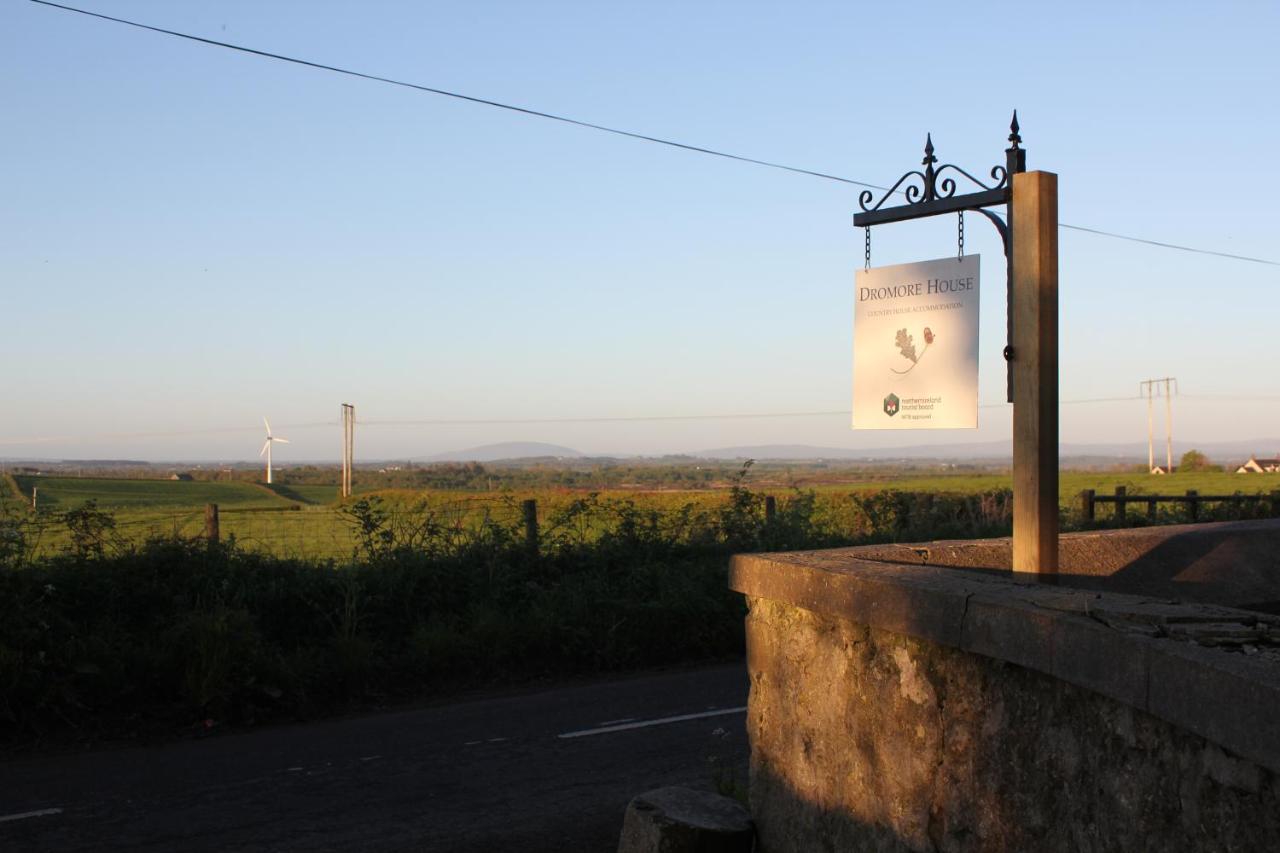 Habitación Superior con cama extragrande