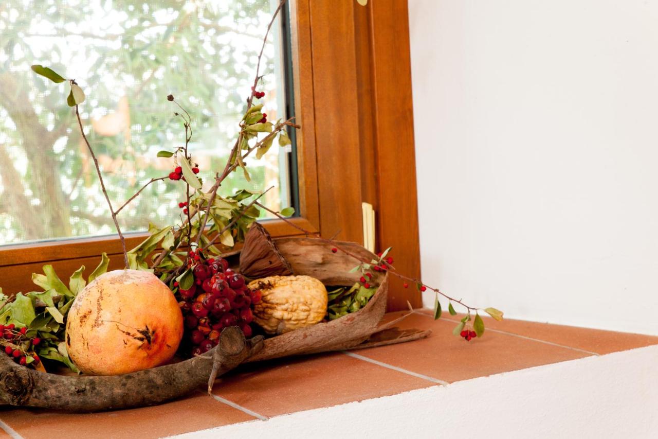 Agriturismo Podere Rondinaio - Ferienwohnung
