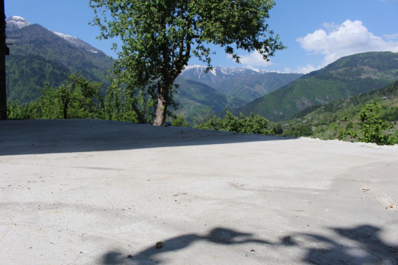 Luka House - B&B Akhaldaba