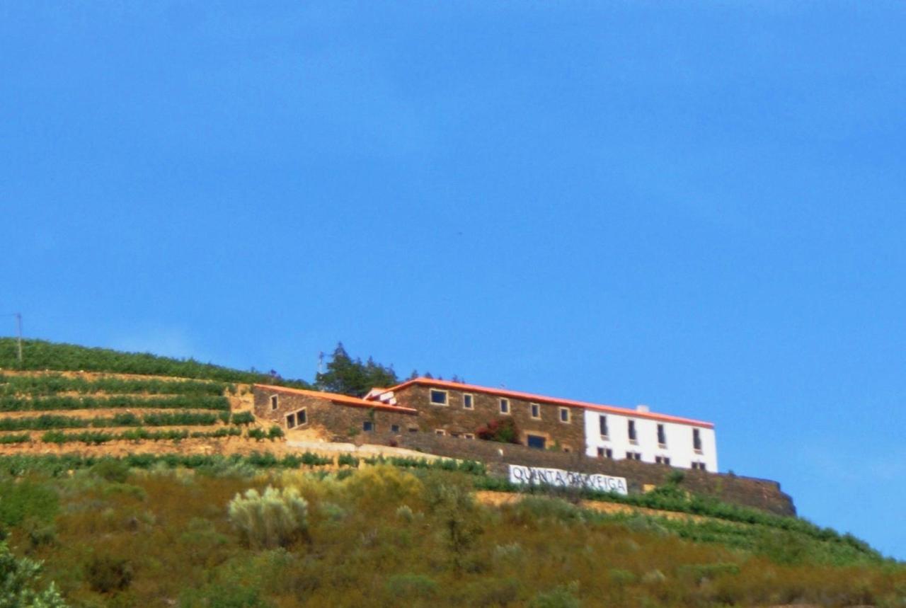 B&B Covas do Douro - Quinta da Veiga - Bed and Breakfast Covas do Douro