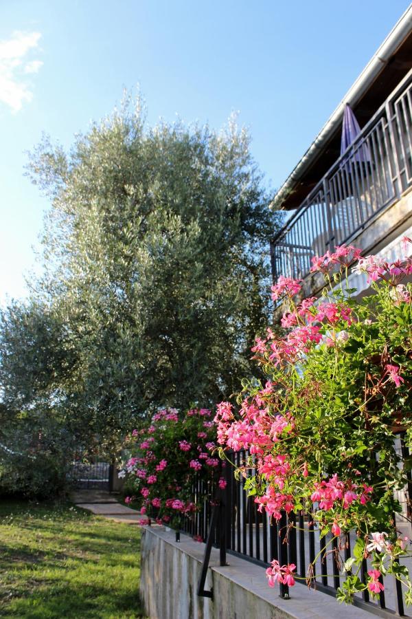 Turković Apartments - B&B Žgaljići