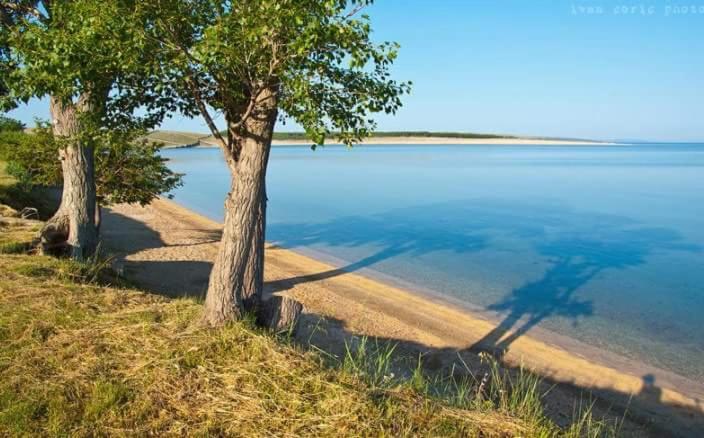 Apartmani Marija - Bed and Breakfast Povljana