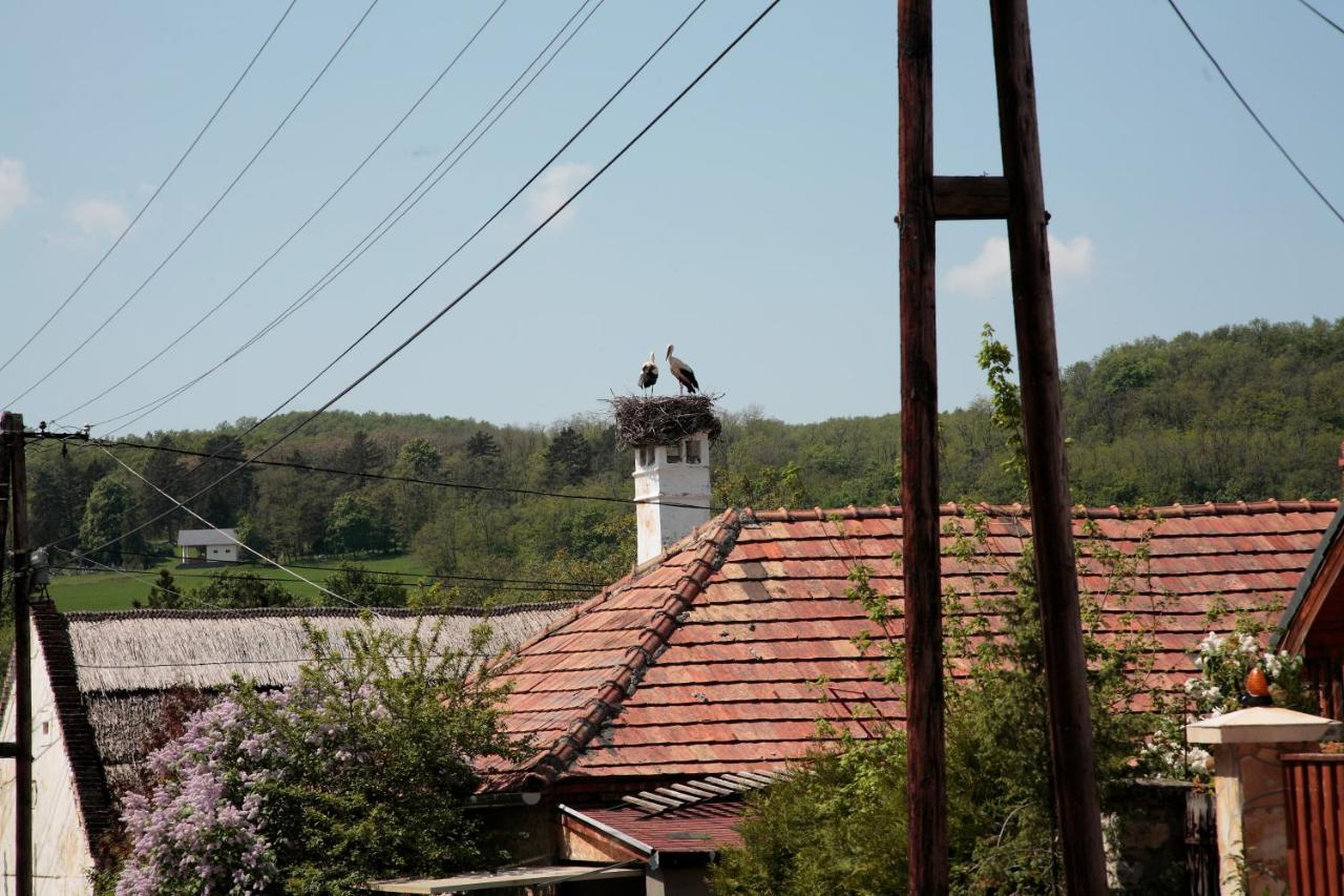 Angel Village - Bed and Breakfast