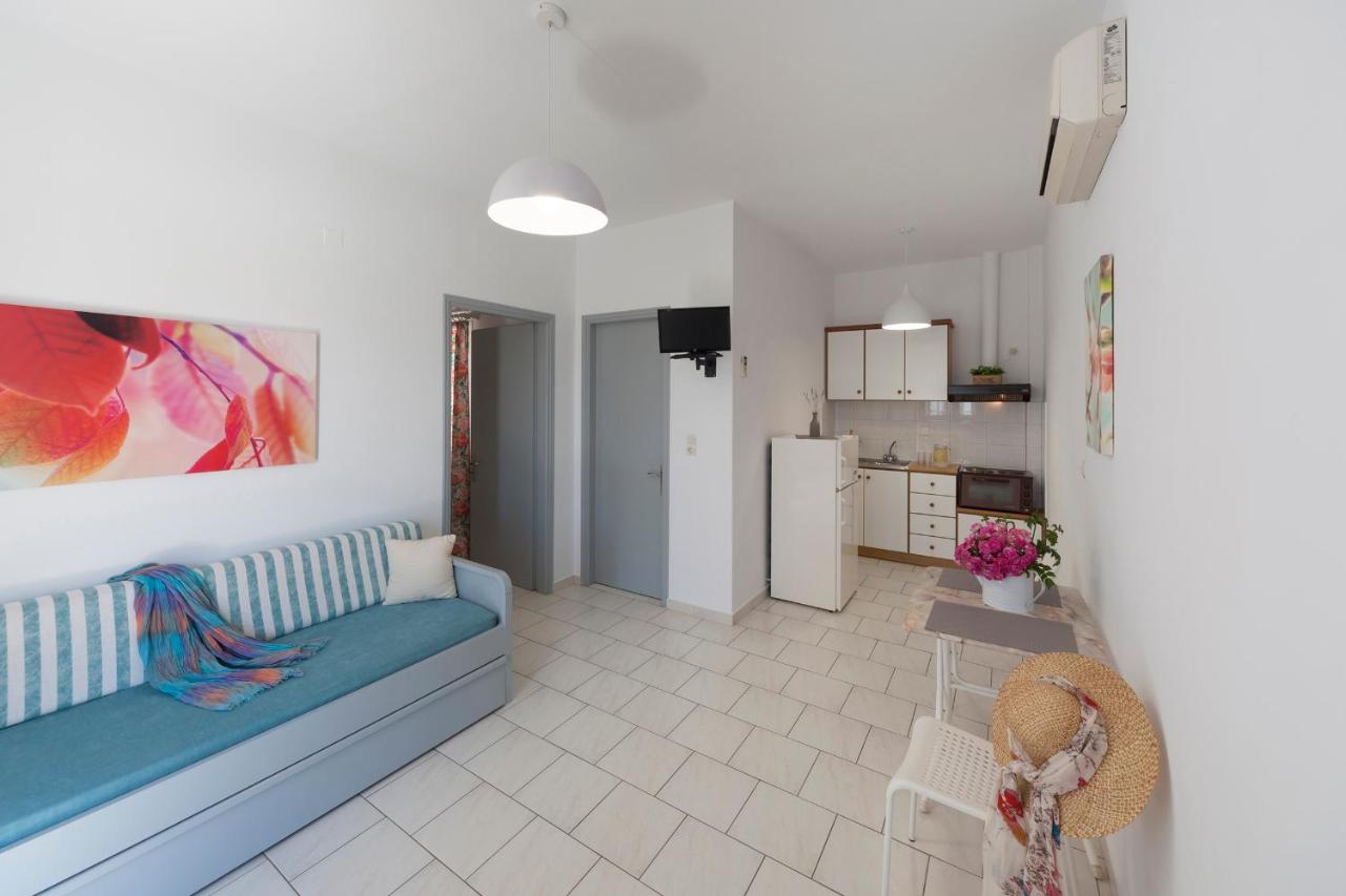 Appartement 1 Chambre