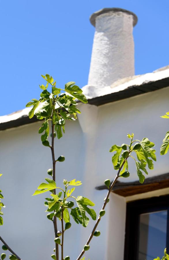 Casa Cecilia - Bed and Breakfast