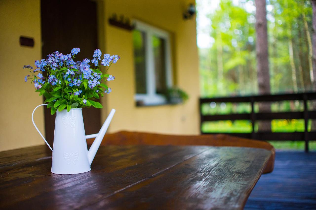 Kurort Mirowice - B&B Mirowice