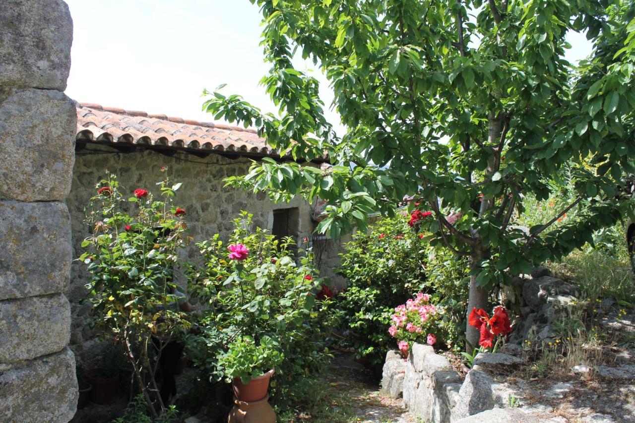 Casa Rural La Pastera - B&B