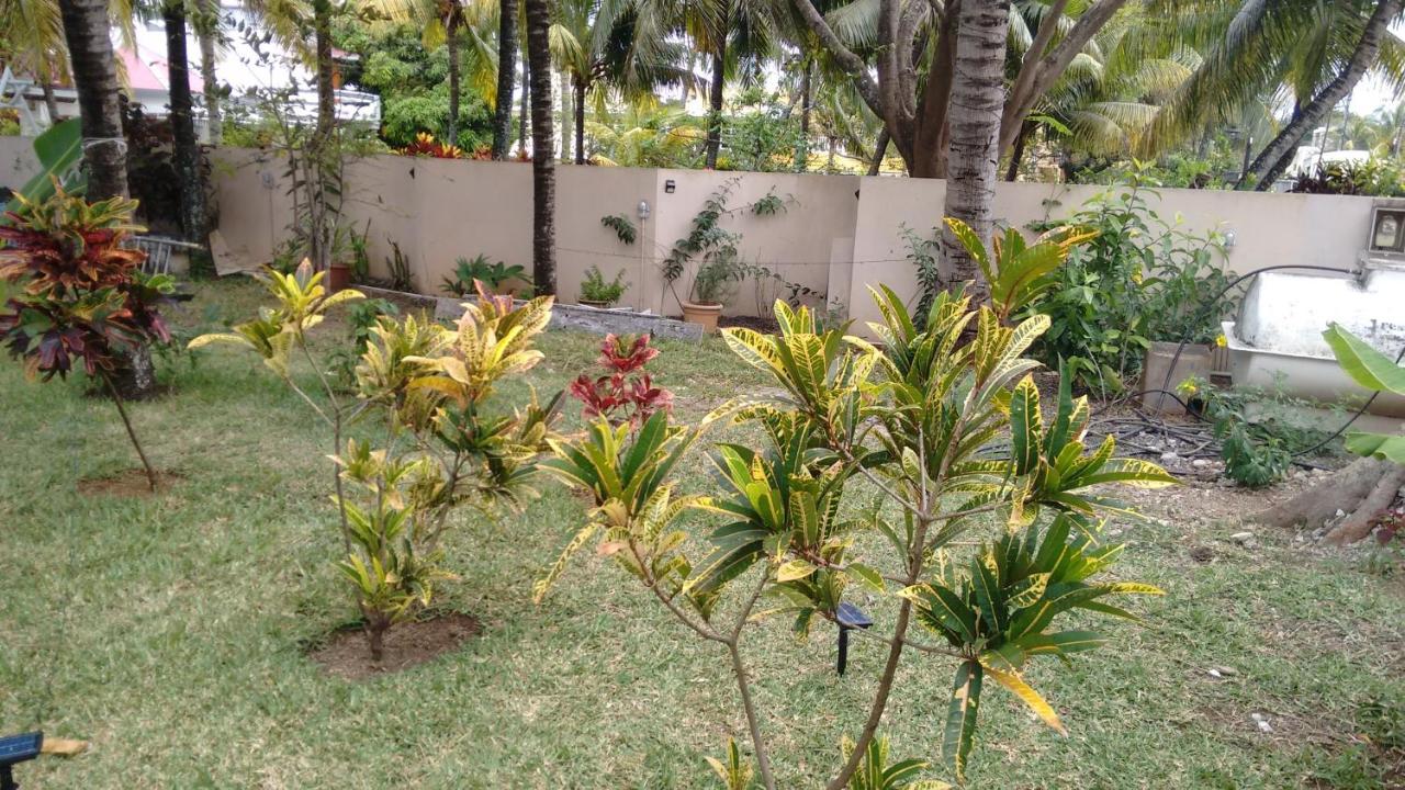 Appartamento - Piano Terra