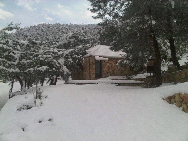 Studio Chalet