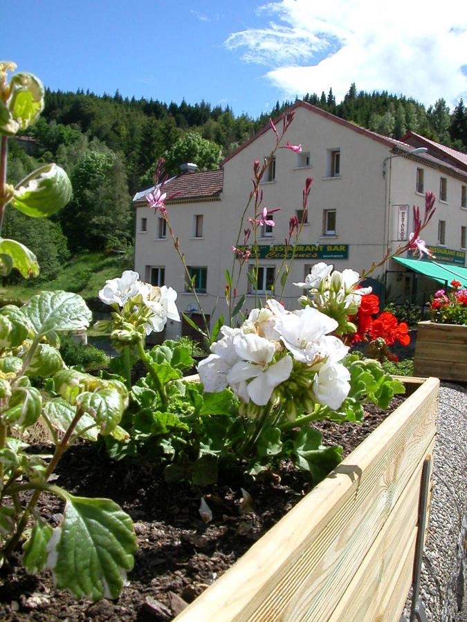 B&B Saint-Cirgues-en-Montagne - Logis Hôtel Restaurant Les Cévennes - Bed and Breakfast Saint-Cirgues-en-Montagne