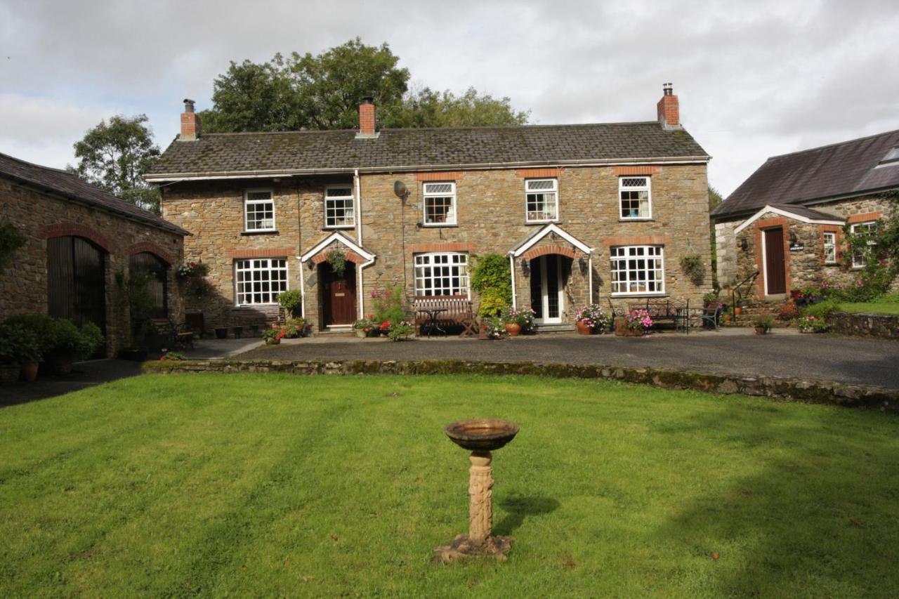 B&B Carmarthen - Fferm Y Felin - Bed and Breakfast Carmarthen