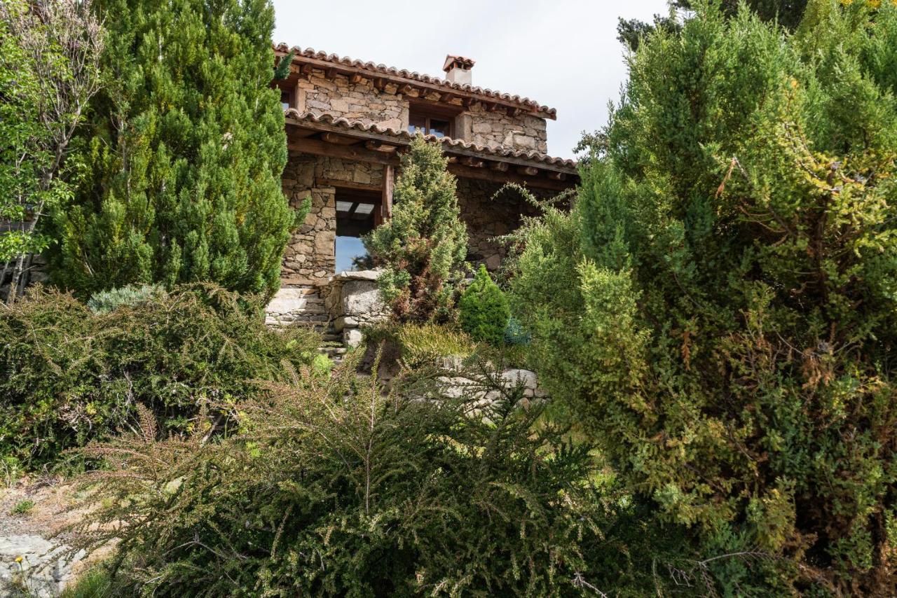 El Cerro - El Cerro I - B&B