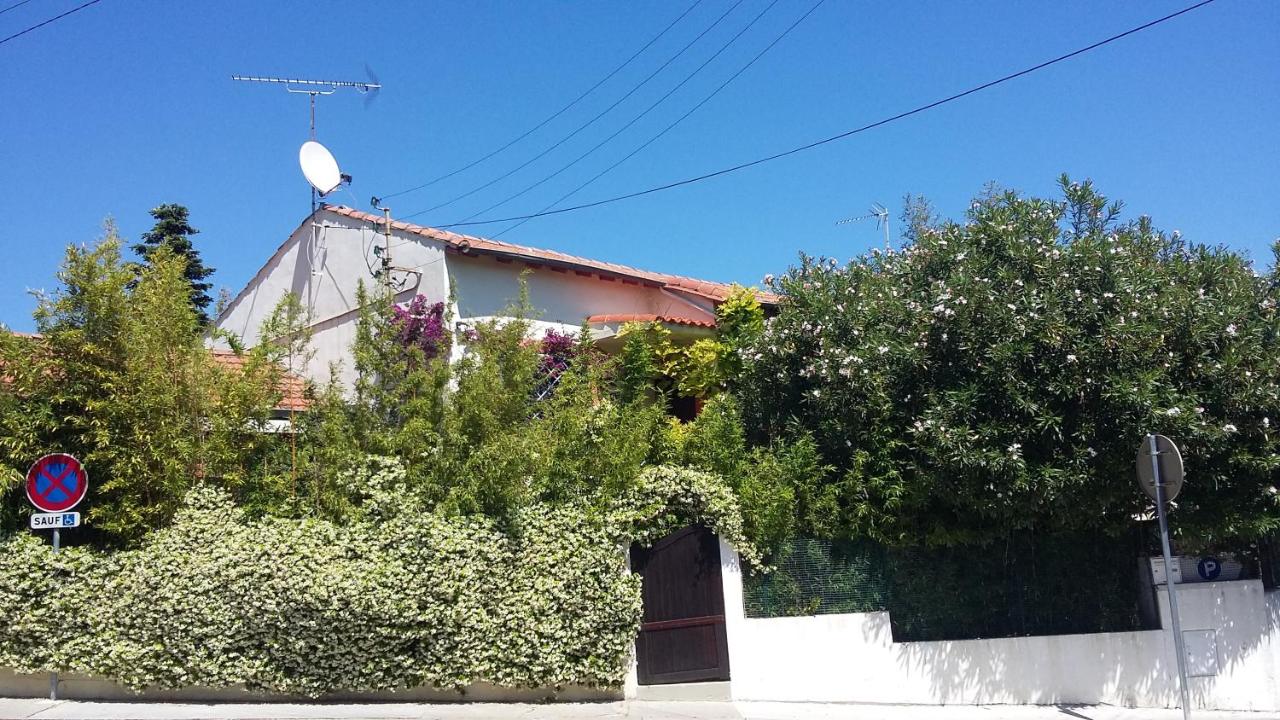 Cielito Lindo - B&B Montpellier