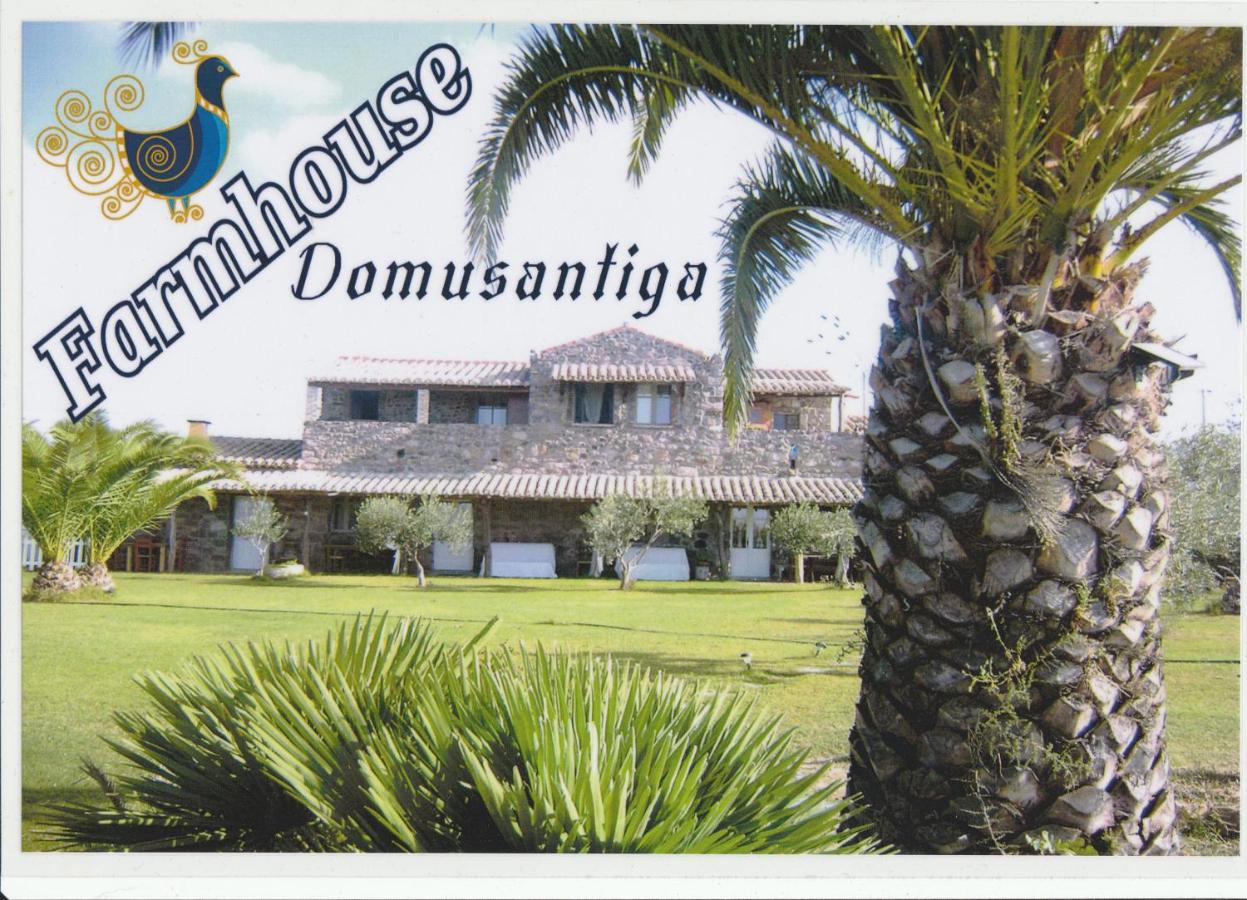 Domus Antiga Appartamenti - B&B