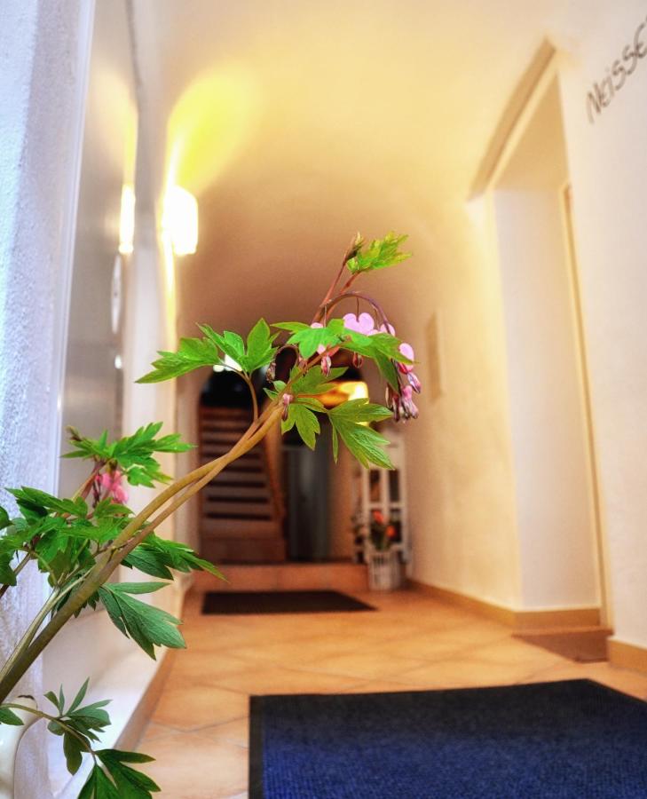 B&B Görlitz - Apartments Altstadthaus Görlitz - Bed and Breakfast Görlitz