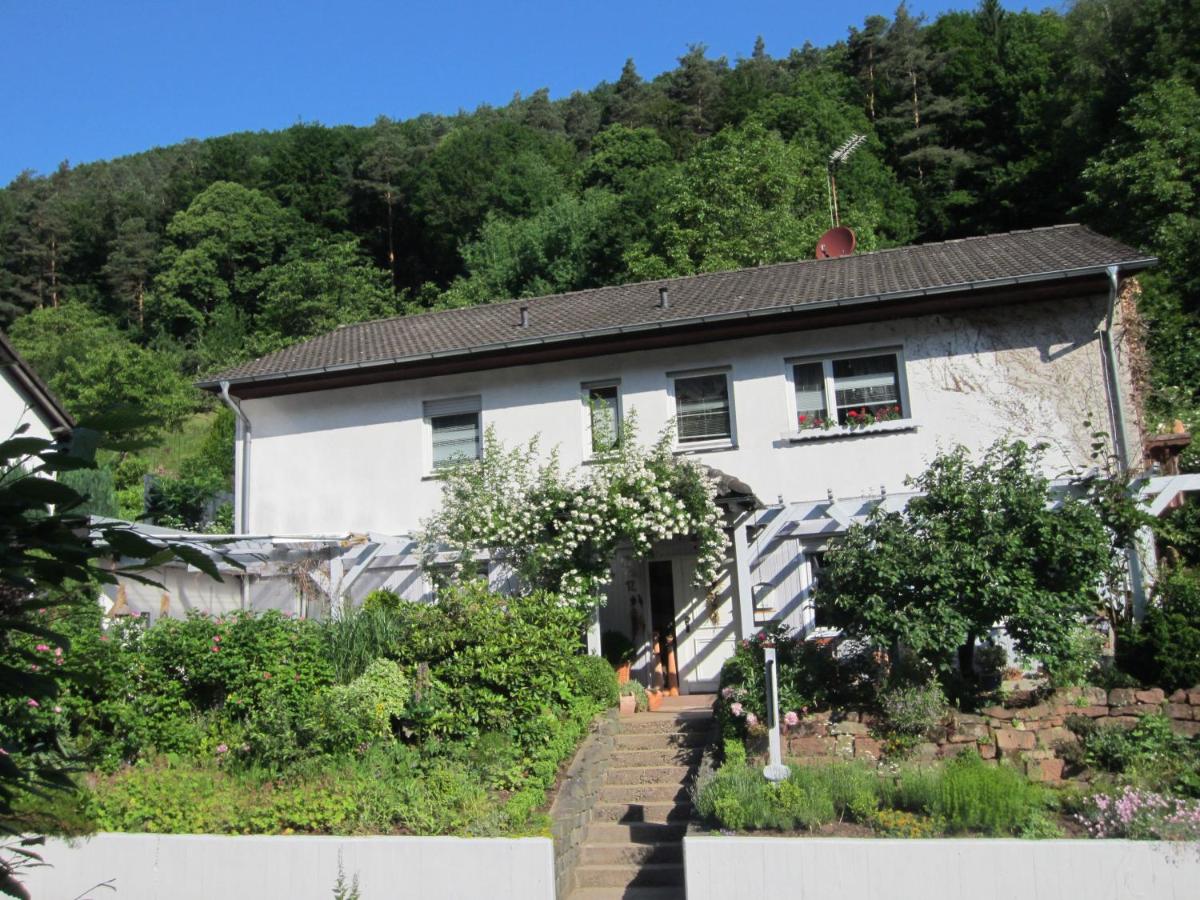 B&B Rinnthal - Ferienwohnung Drehwald - Bed and Breakfast Rinnthal