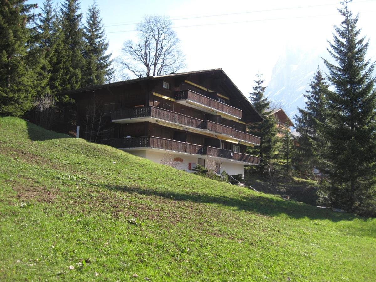 Superior Apartment 100m2 Bodmisonne - Grindelwald - B&B