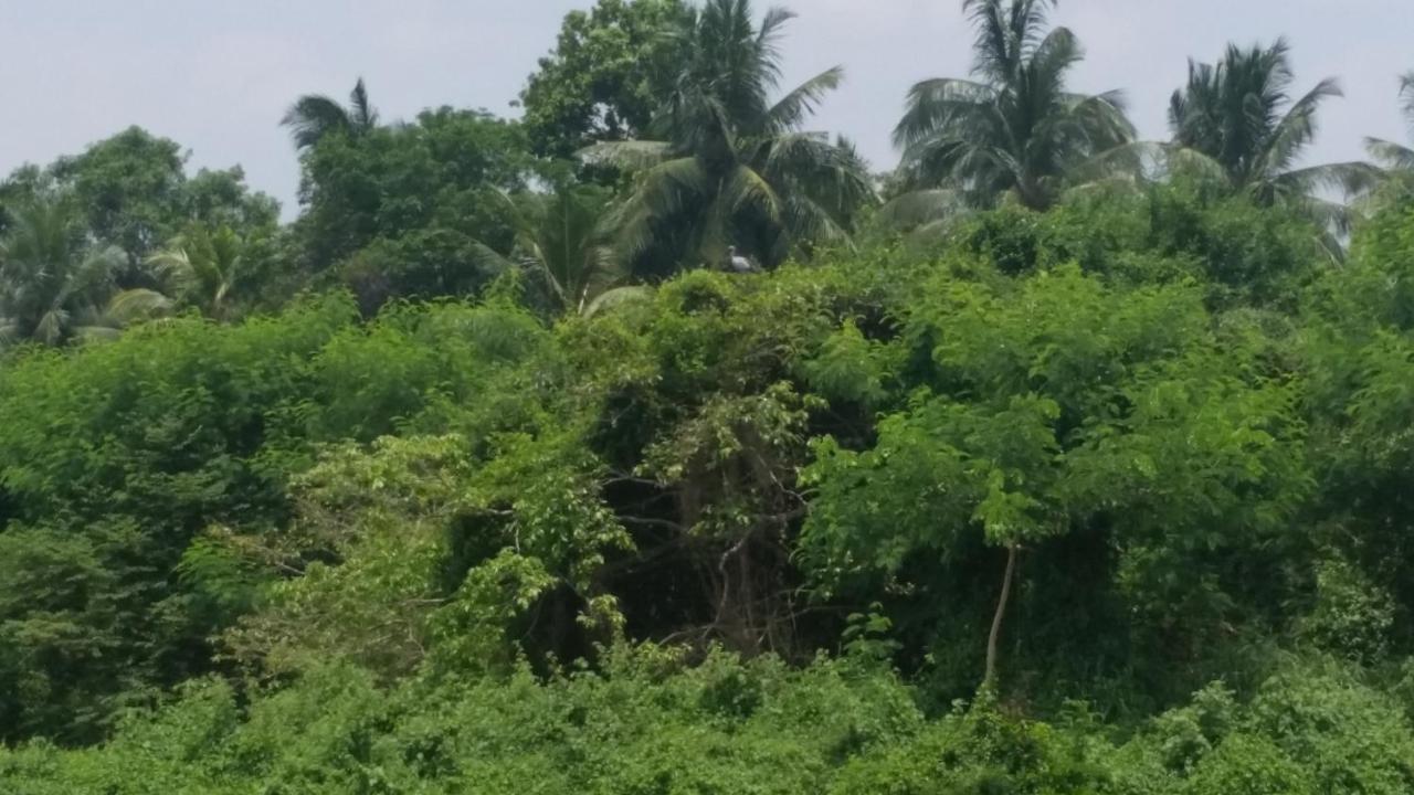 Sunhill Lake Tourist Rest - B&B Anurādhapura