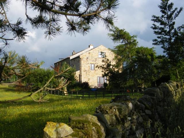 B&B Alston - West Nattrass Guest House - Bed and Breakfast Alston