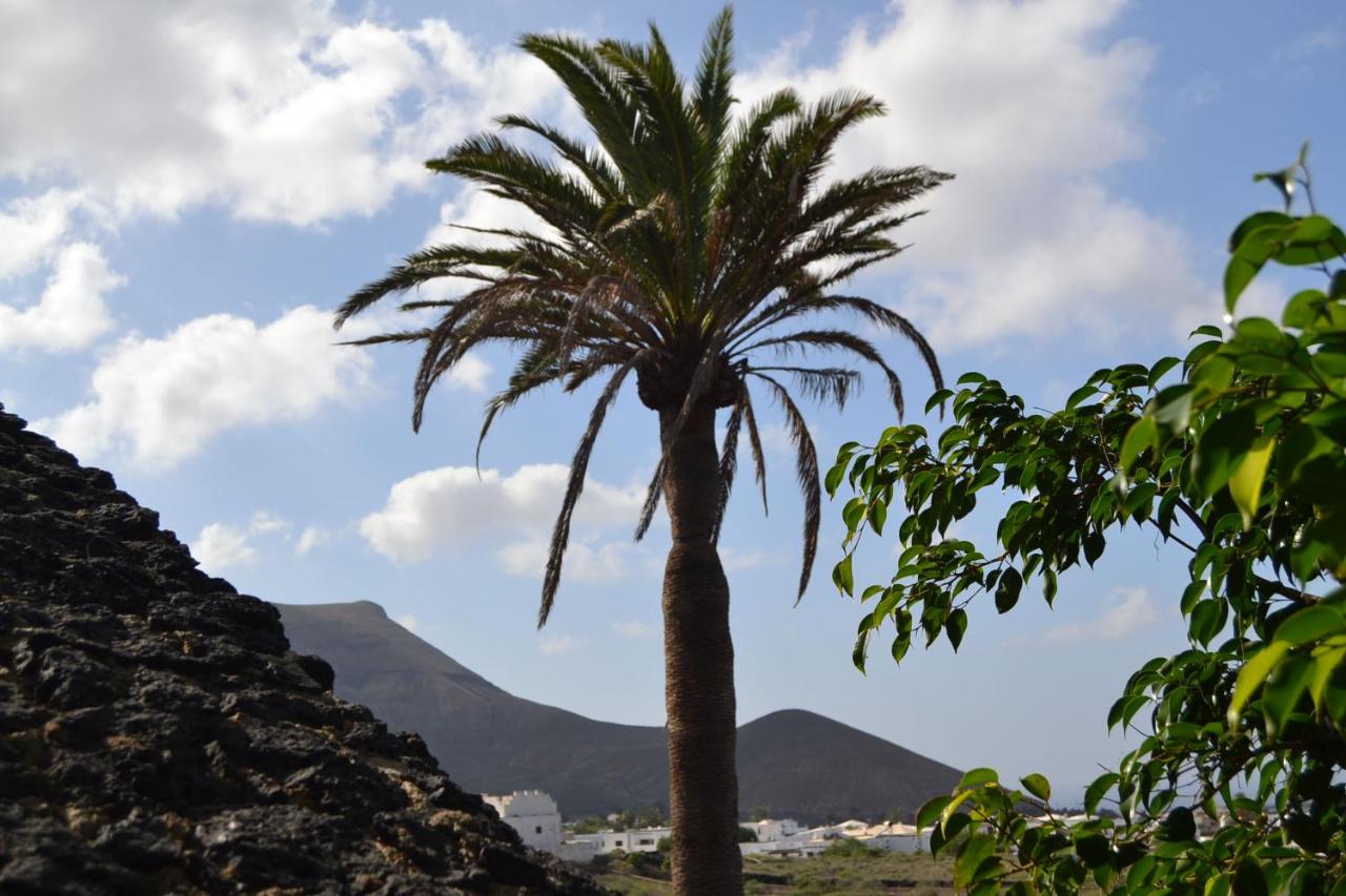 Vista Timanfaya - Chambres d’hôtes