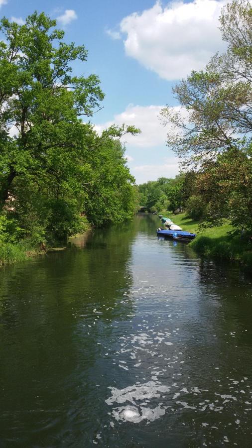 Kastanienhof Lübben - B&B Lubin