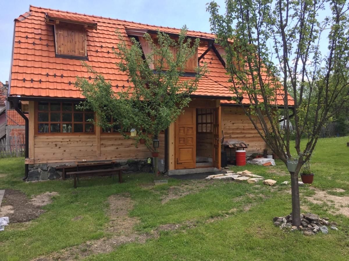 Casa Vacanze
