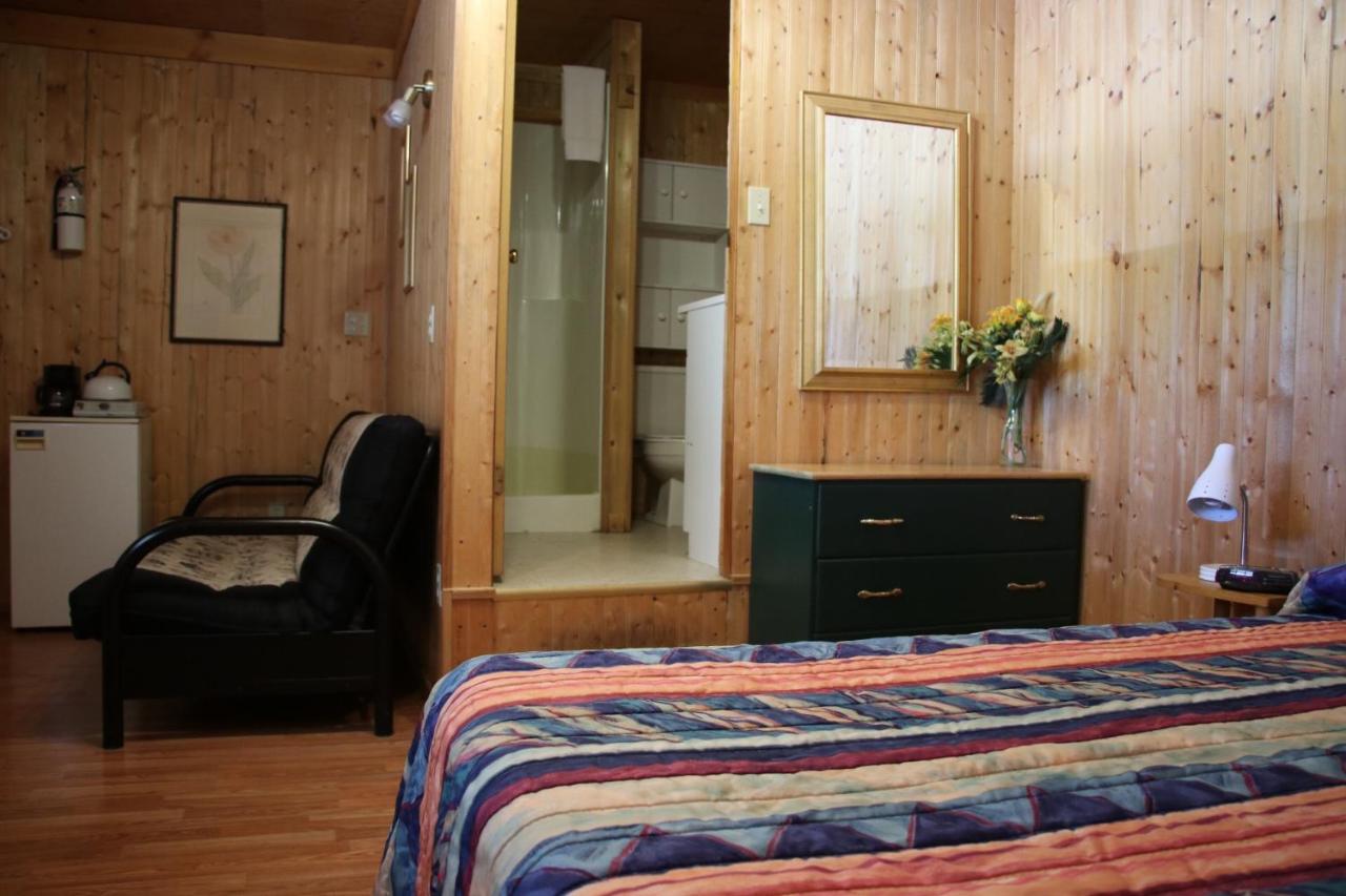 Studio with Sofa Bed