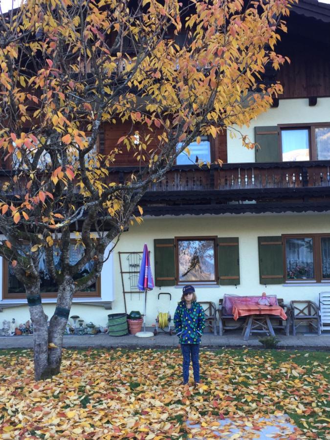 Ferienwohnungen Hölzl - B&B