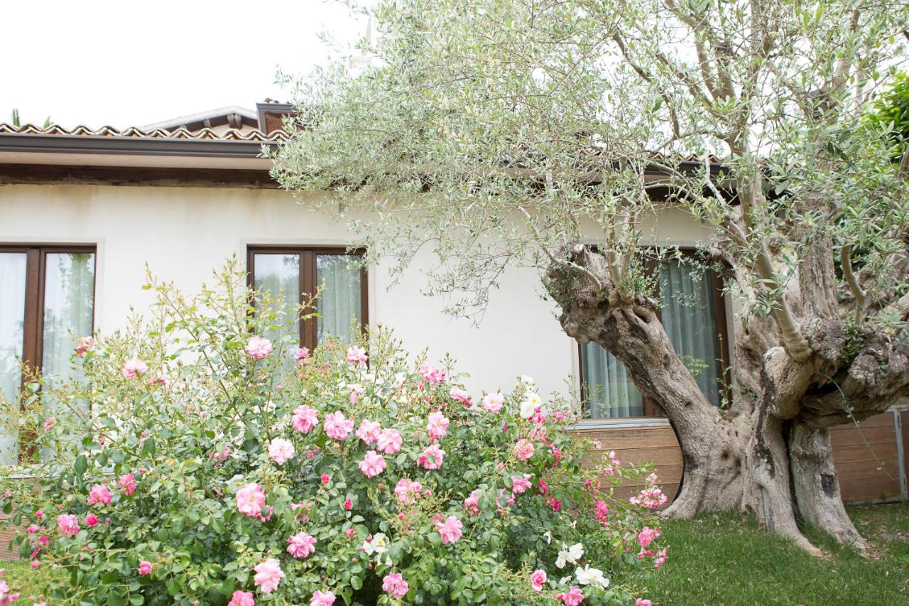 Agriturismo Il Granaio Hotel & SPA - Ferienwohnung