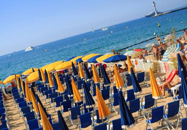 Un coin de campagne en ville - B&B Le Cannet