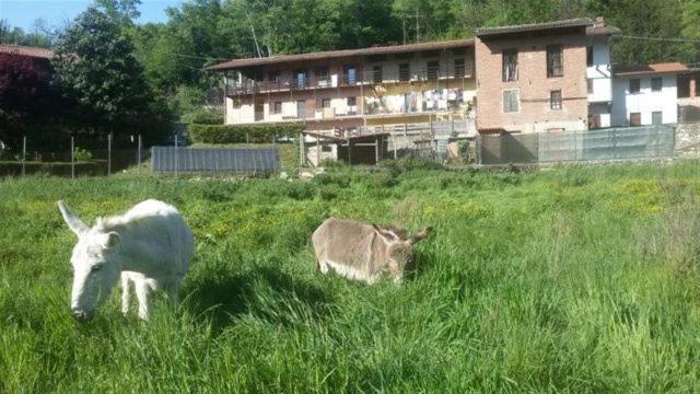 Bed & Breakfast Varionda - B&B Chiaverano