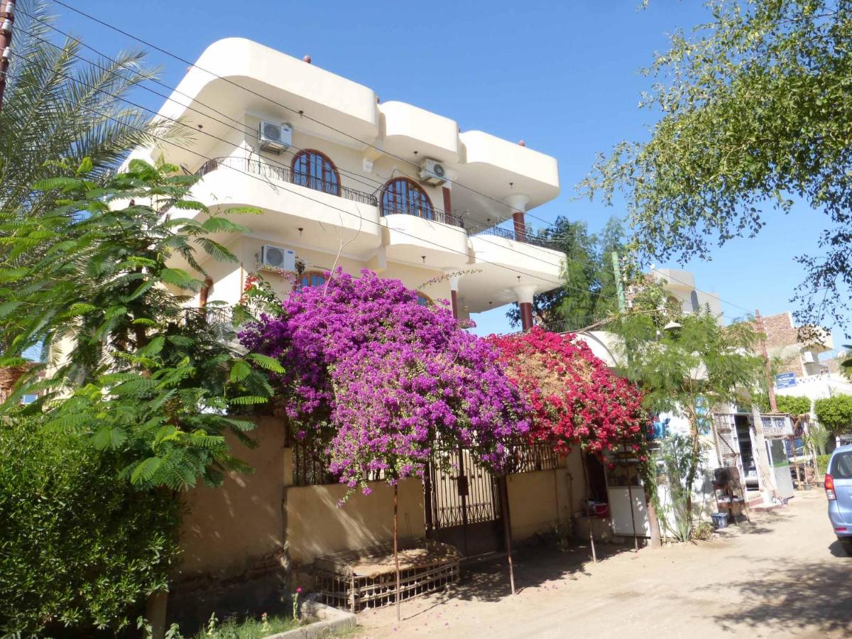 Terrasses et Jardins sur le Nil chez Hagag rive Ouest - B&B Luxor