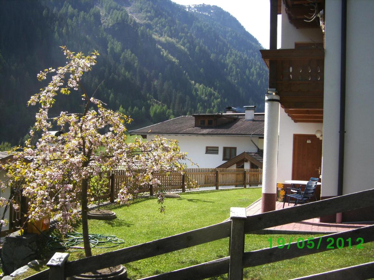 Apart Dorfblick - B&B
