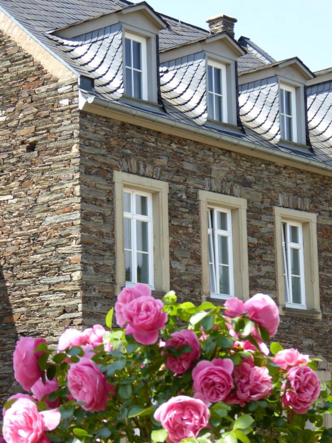 Winzerhaus Andel - B&B Bernkastel-Kues