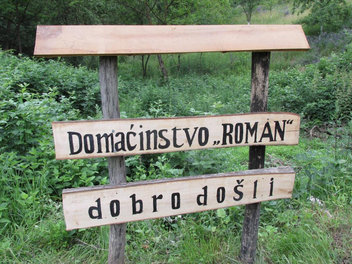 B&B Doboj - Country House Roman - Bed and Breakfast Doboj