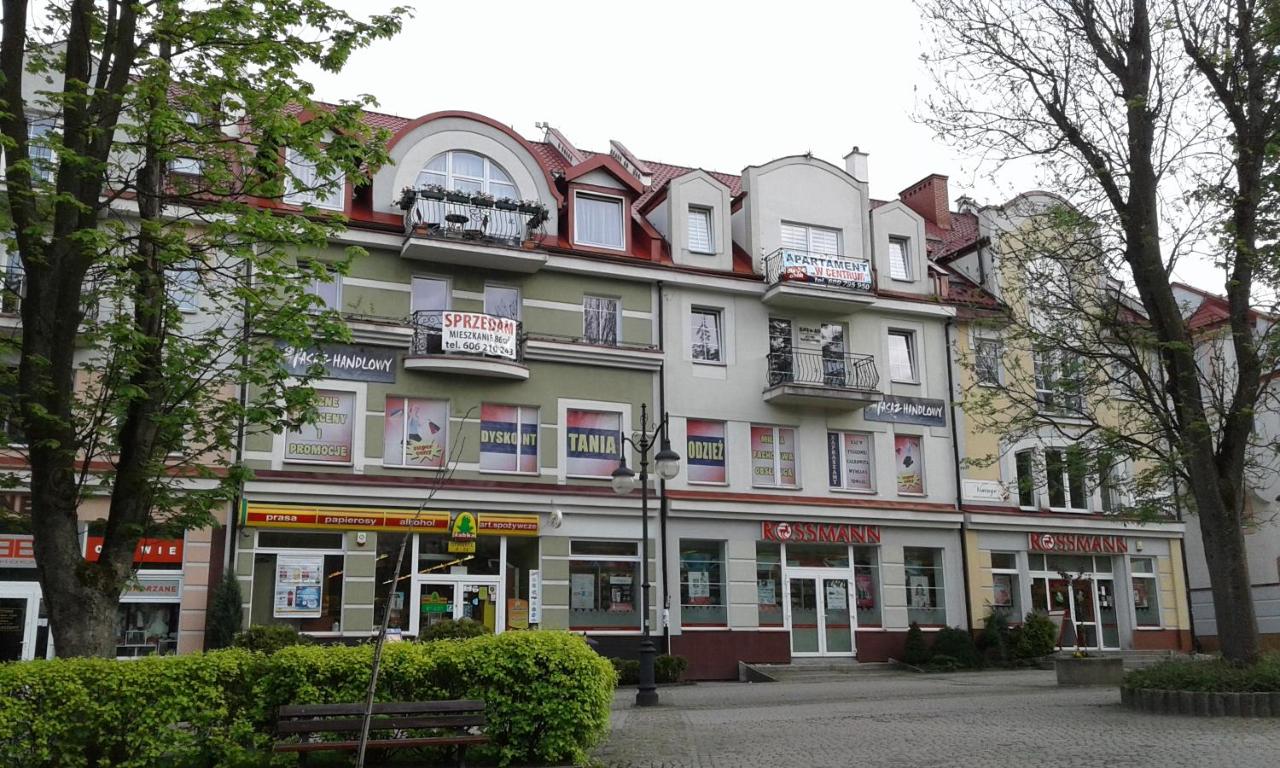Apartament w centrum - B&B