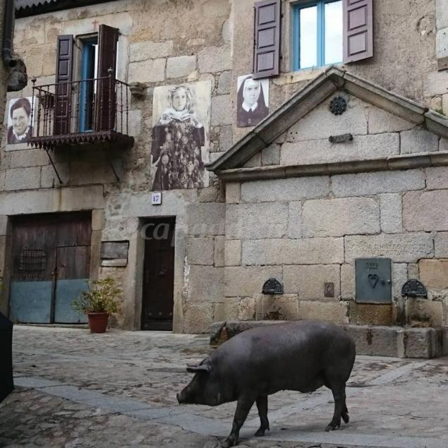 Casa Rural Amparo - B&B