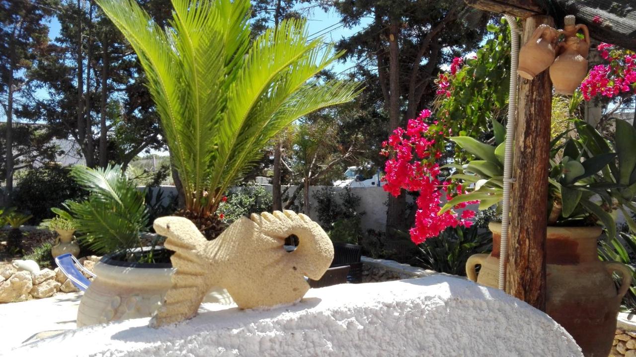 Angolo di Paradiso - B&B Favignana