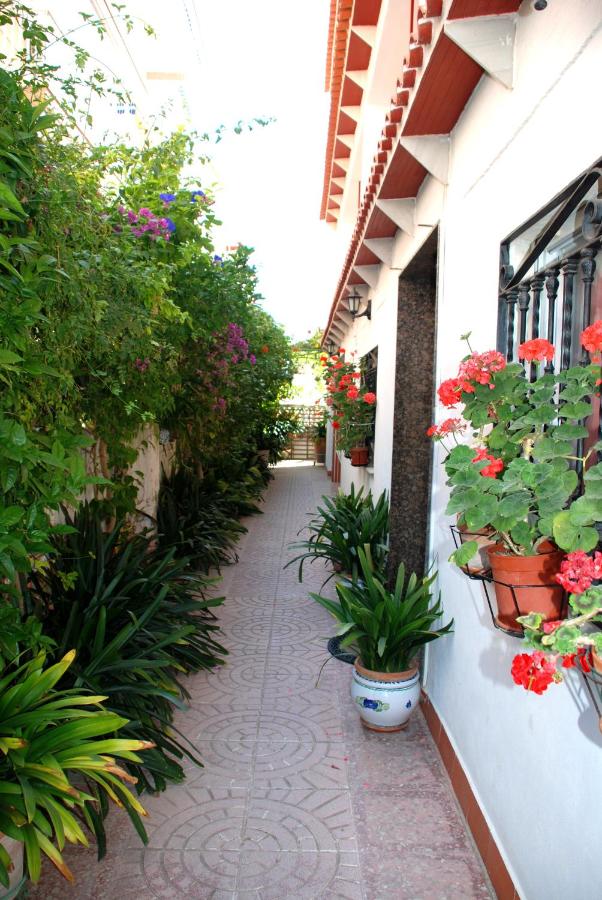 B&B Gandia - Apartamentos Inter Gandia Playa - Bed and Breakfast Gandia