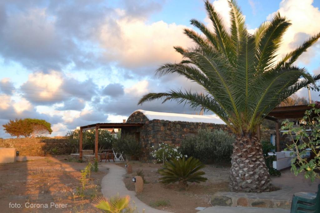 B&B Pantelleria - Dammuso Primavera - Bed and Breakfast Pantelleria