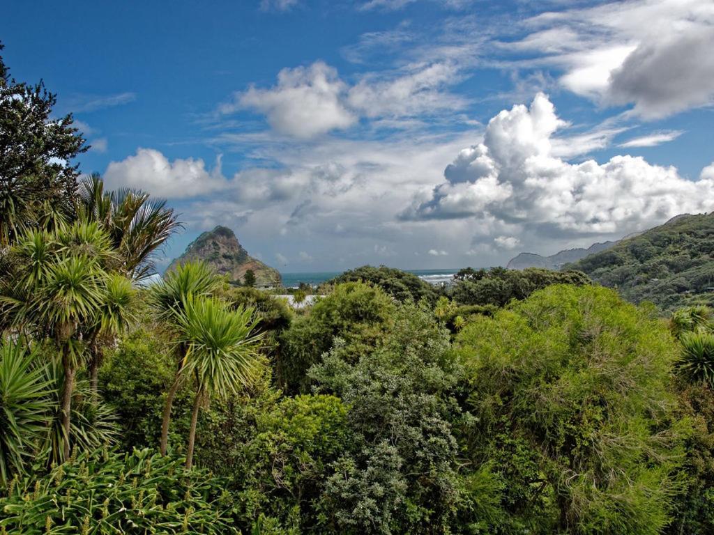 Surfer's Sunshine Cottage - Piha Holiday Home 2