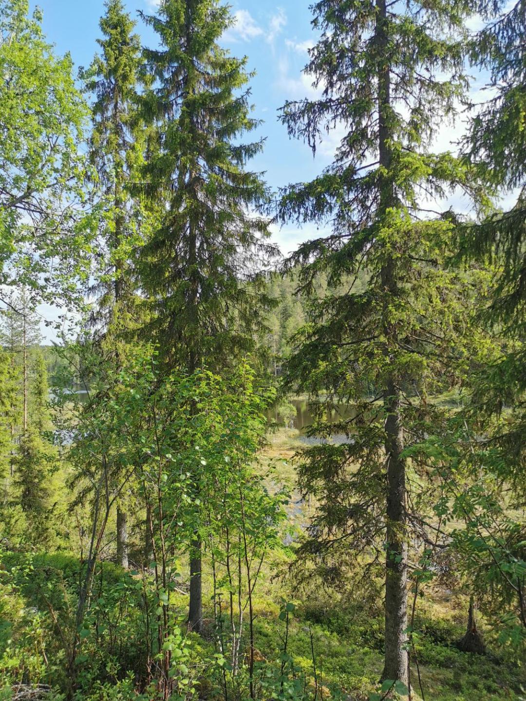 Salmikangas G4 5