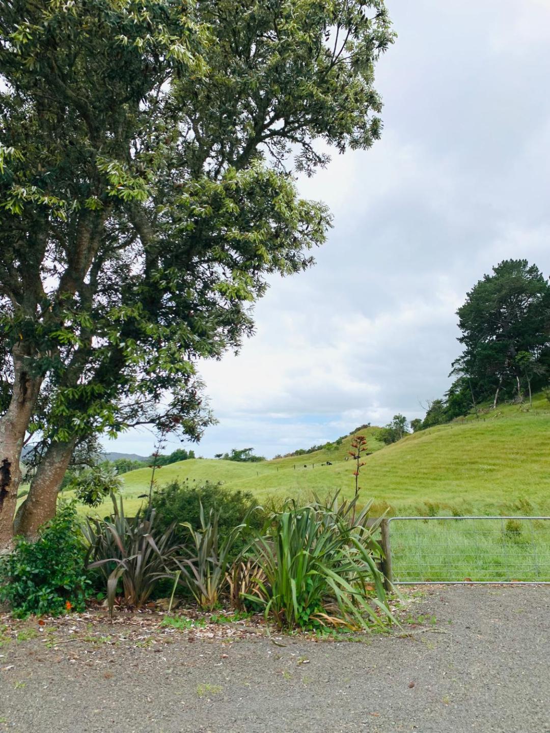 Aranui Rest  -  Farmstay Guest Suite 5